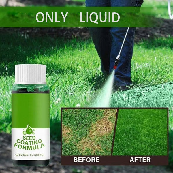 🔥Last Day 70% OFF🌱Hydro Seeding Lawn Solution✈️