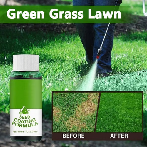 🔥Last Day 70% OFF🌱Hydro Seeding Lawn Solution✈️