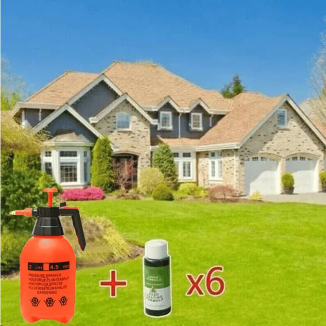 🔥Last Day 70% OFF🌱Hydro Seeding Lawn Solution✈️