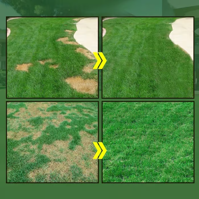 🔥Last Day 70% OFF🌱Hydro Seeding Lawn Solution✈️